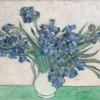 Vincent van Gogh - Irises