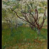 Vincent van Gogh - The Flowering Orchard